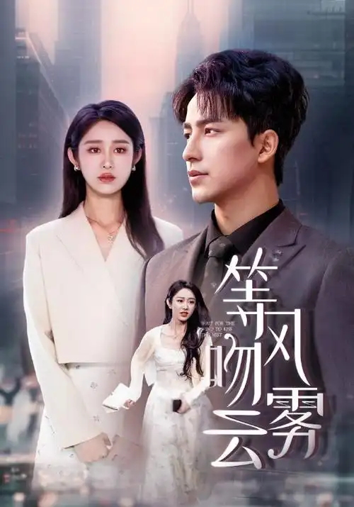 伊人影院在线观看 暗涌电视剧海报